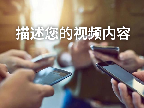 描述您的視頻內容