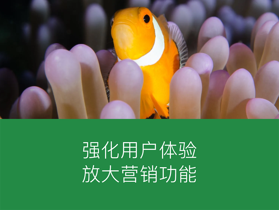 濟(jì)南小程序定制開(kāi)發(fā)